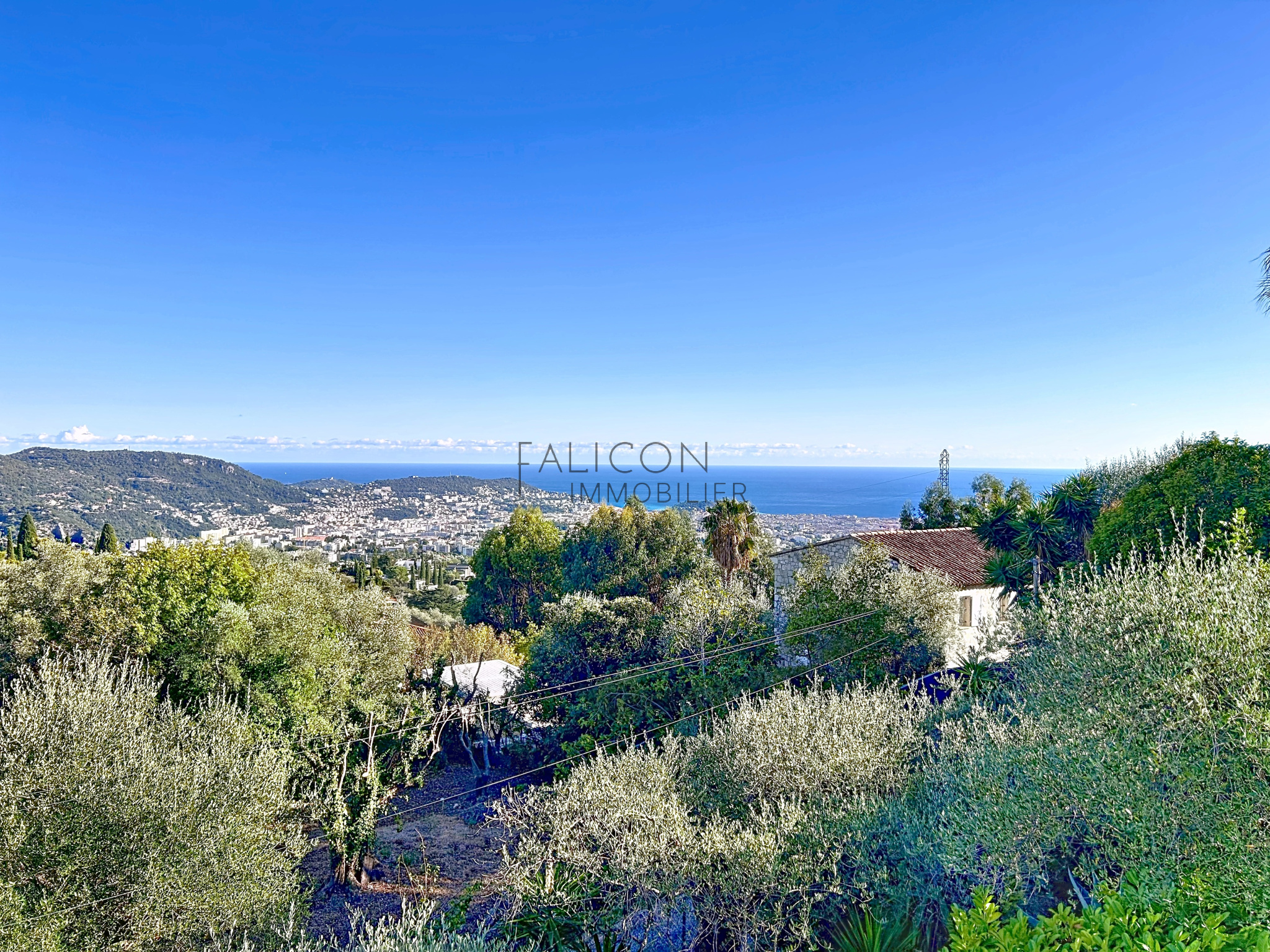 Agence immobilière de FALICON IMMOBILIER