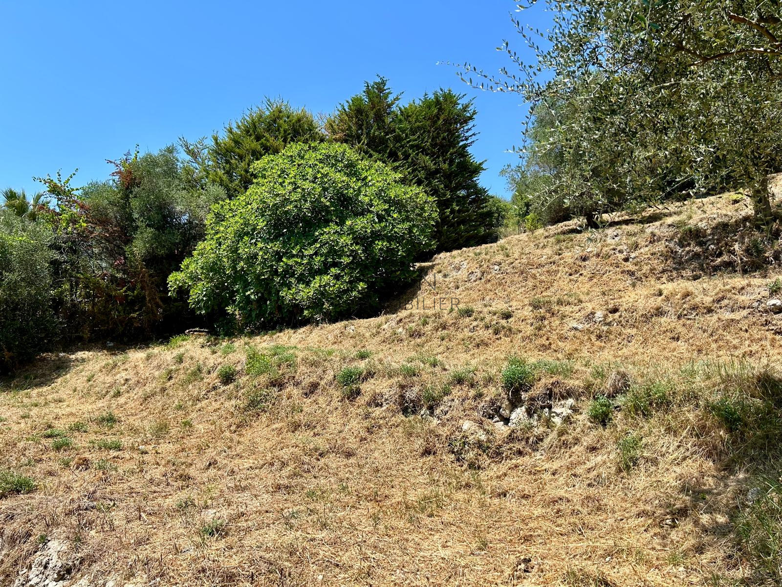 Agence immobilière de FALICON IMMOBILIER