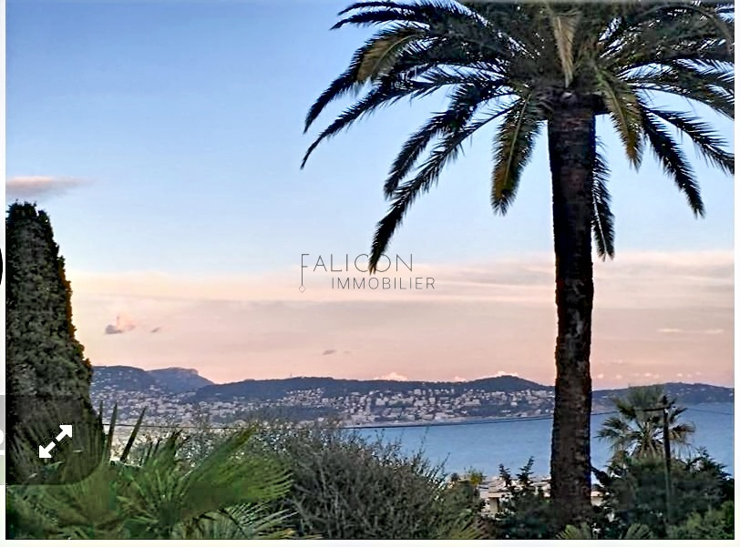 Agence immobilière de FALICON IMMOBILIER by DB GROUP