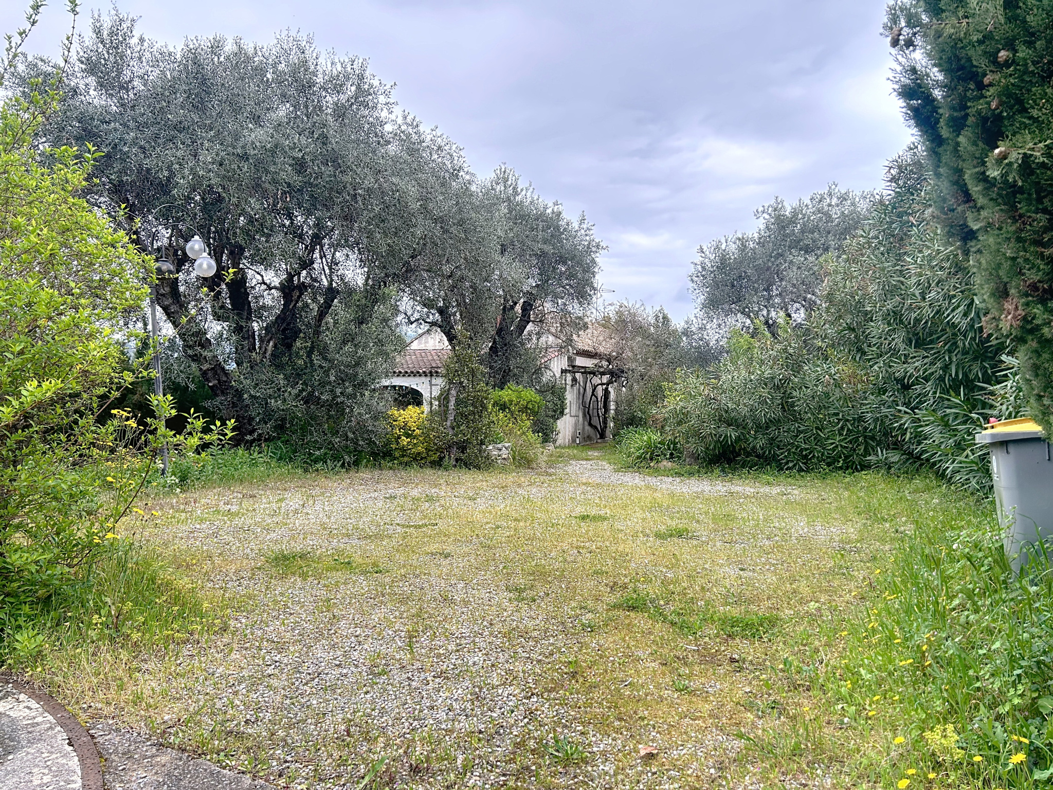 Agence immobilière de FALICON IMMOBILIER