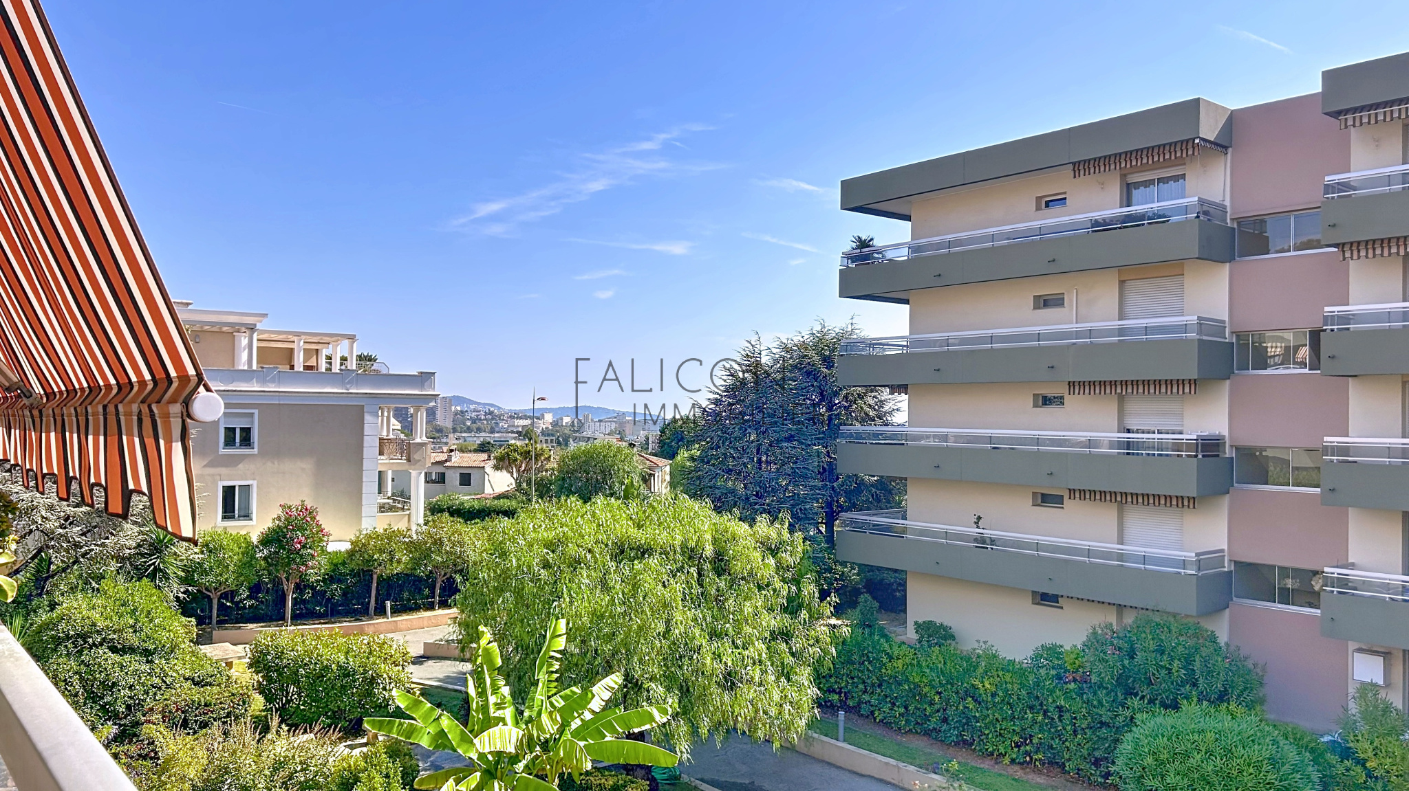 Agence immobilière de FALICON IMMOBILIER